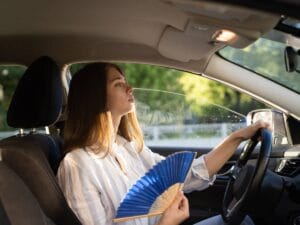 Odkrywamy, jak działa webasto