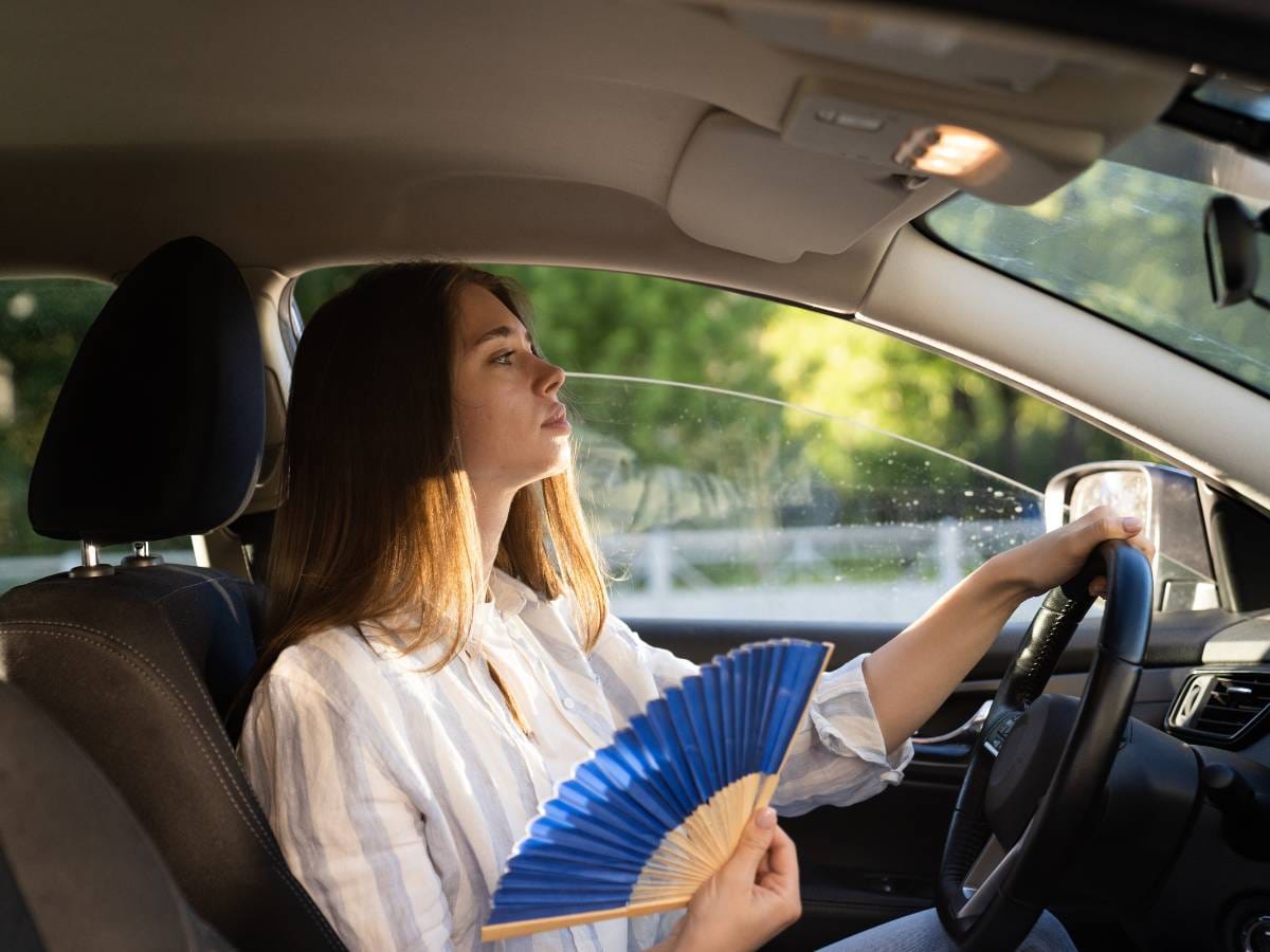 Odkrywamy, jak działa webasto